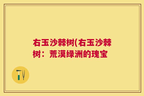 右玉沙棘树(右玉沙棘树：荒漠绿洲的瑰宝