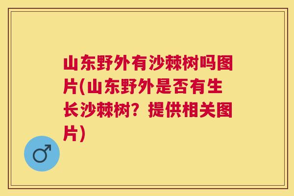 山东野外有沙棘树吗图片(山东野外是否有生长沙棘树？提供相关图片)