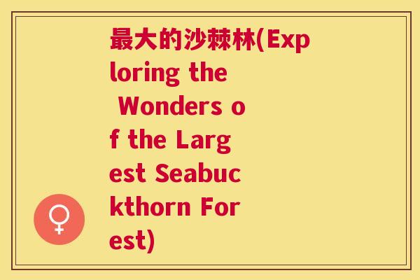最大的沙棘林(Exploring the Wonders of the Largest Seabuckthorn Forest)
