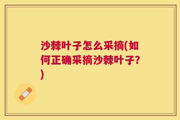 沙棘叶子怎么采摘(如何正确采摘沙棘叶子？)