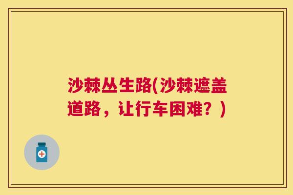 沙棘丛生路(沙棘遮盖道路，让行车困难？)