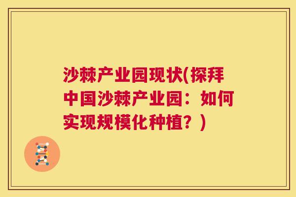 沙棘产业园现状(探拜中国沙棘产业园：如何实现规模化种植？)