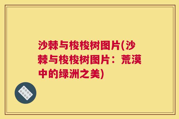 沙棘与梭梭树图片(沙棘与梭梭树图片:荒漠中的绿洲之美)