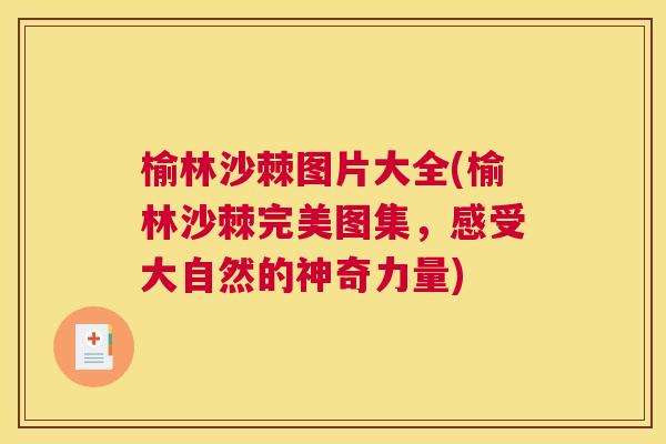 榆林沙棘图片大全(榆林沙棘完美图集，感受大自然的神奇力量)