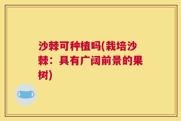 沙棘可种植吗(栽培沙棘：具有广阔前景的果树)