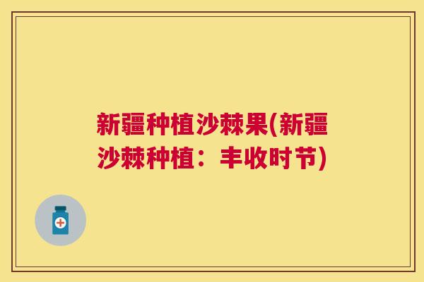 新疆种植沙棘果(新疆沙棘种植：丰收时节)
