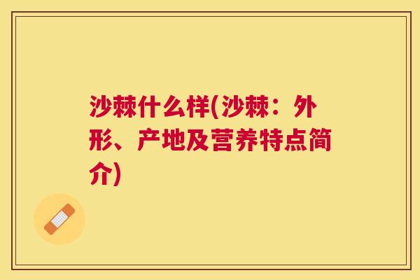 沙棘什么样(沙棘：外形、产地及营养特点简介)
