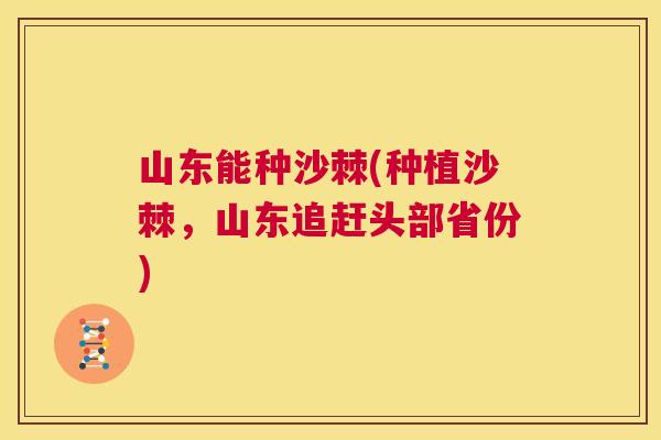山东能种沙棘(种植沙棘，山东追赶头部省份)