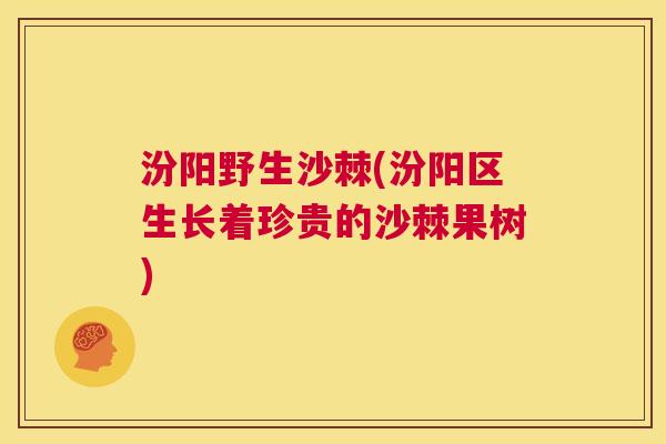 汾阳野生沙棘(汾阳区生长着珍贵的沙棘果树)