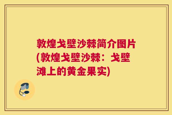 敦煌戈壁沙棘简介图片(敦煌戈壁沙棘：戈壁滩上的黄金果实)