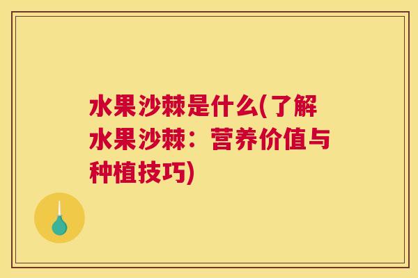 水果沙棘是什么(了解水果沙棘：营养价值与种植技巧)
