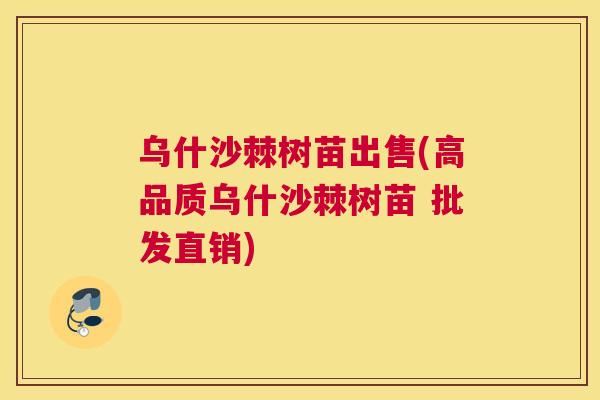 乌什沙棘树苗出售(高品质乌什沙棘树苗 批发直销)