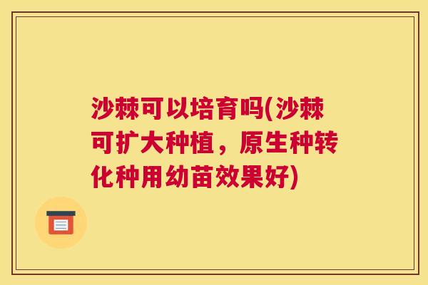 沙棘可以培育吗(沙棘可扩大种植，原生种转化种用幼苗效果好)