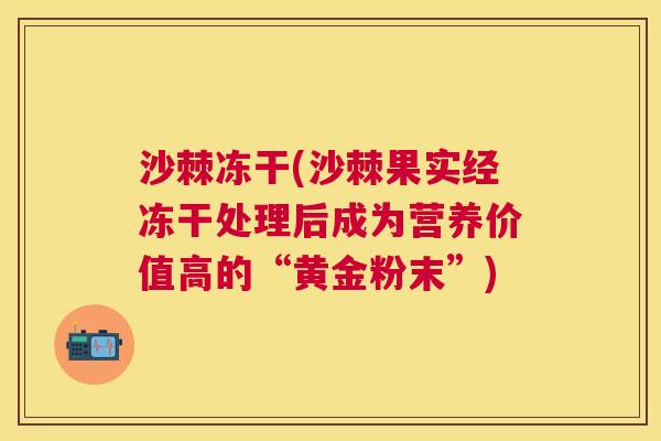 沙棘冻干(沙棘果实经冻干处理后成为营养价值高的“黄金粉末”)