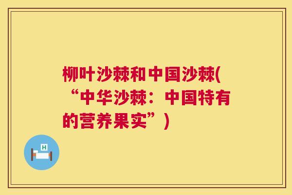 柳叶沙棘和中国沙棘(“中华沙棘：中国特有的营养果实”)