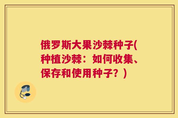 俄罗斯大果沙棘种子(种植沙棘：如何收集、保存和使用种子？)