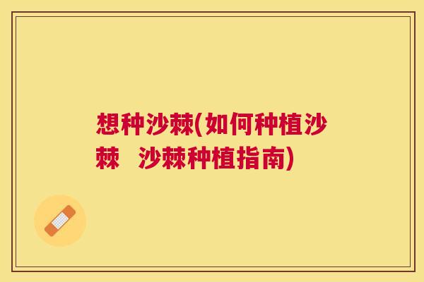 想种沙棘(如何种植沙棘  沙棘种植指南)