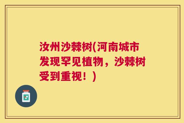 汝州沙棘树(河南城市发现罕见植物，沙棘树受到重视！)