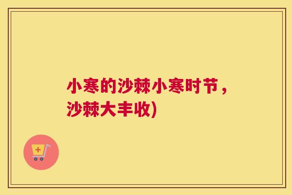 小寒的沙棘小寒时节，沙棘大丰收)
