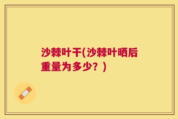 沙棘叶干(沙棘叶晒后重量为多少？)