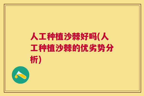 人工种植沙棘好吗(人工种植沙棘的优劣势分析)