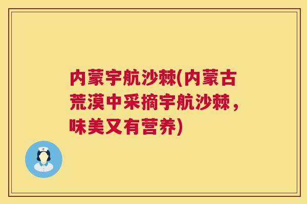 内蒙宇航沙棘(内蒙古荒漠中采摘宇航沙棘，味美又有营养)