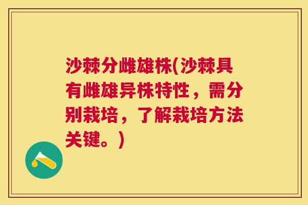 沙棘分雌雄株(沙棘具有雌雄异株特性，需分别栽培，了解栽培方法关键。)
