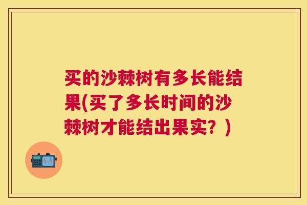 买的沙棘树有多长能结果(买了多长时间的沙棘树才能结出果实？)