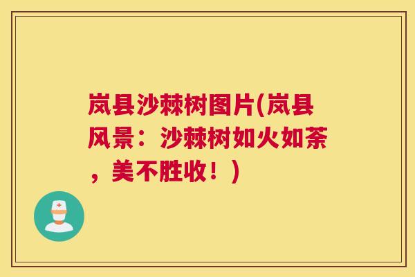 岚县沙棘树图片(岚县风景：沙棘树如火如荼，美不胜收！)