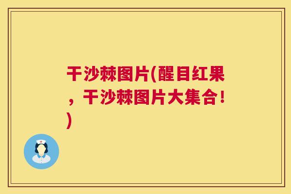 干沙棘图片(醒目红果，干沙棘图片大集合！)