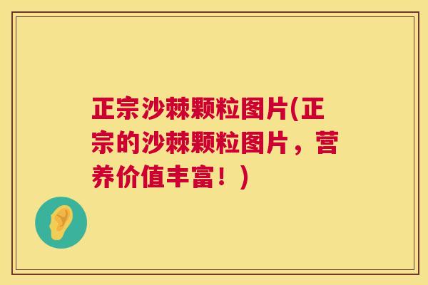 正宗沙棘颗粒图片(正宗的沙棘颗粒图片，营养价值丰富！)