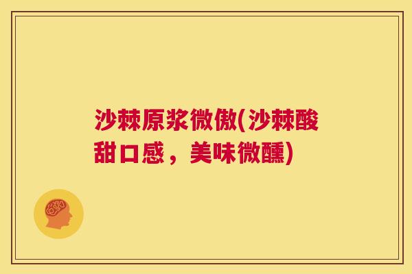 沙棘原浆微傲(沙棘酸甜口感，美味微醺)