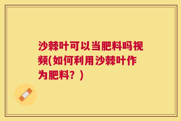 沙棘叶可以当肥料吗视频(如何利用沙棘叶作为肥料？)