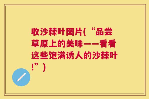 收沙棘叶图片(“品尝草原上的美味——看看这些饱满诱人的沙棘叶!”)