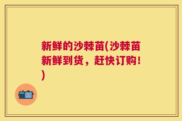 新鲜的沙棘苗(沙棘苗新鲜到货，赶快订购！)