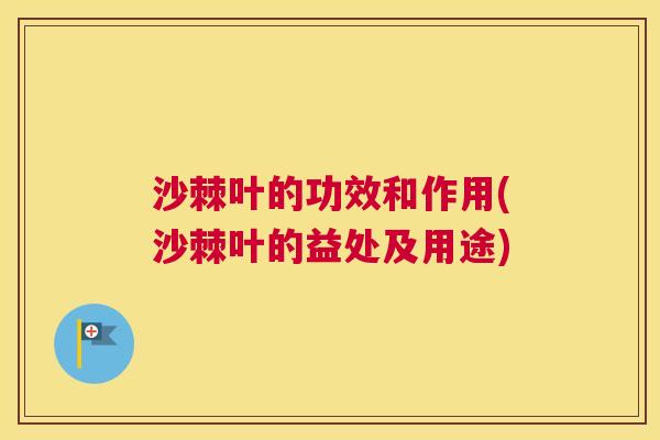 沙棘叶的功效和作用(沙棘叶的益处及用途)