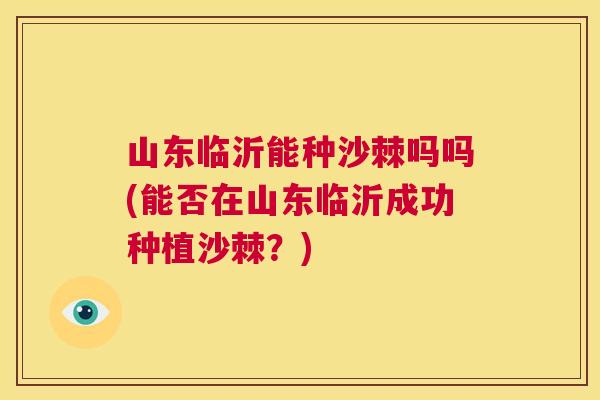 山东临沂能种沙棘吗吗(能否在山东临沂成功种植沙棘？)