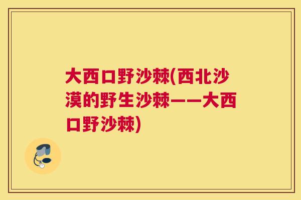 大西口野沙棘(西北沙漠的野生沙棘——大西口野沙棘)