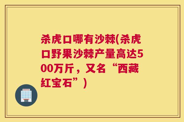 杀虎口哪有沙棘(杀虎口野果沙棘产量高达500万斤，又名“西藏红宝石”)