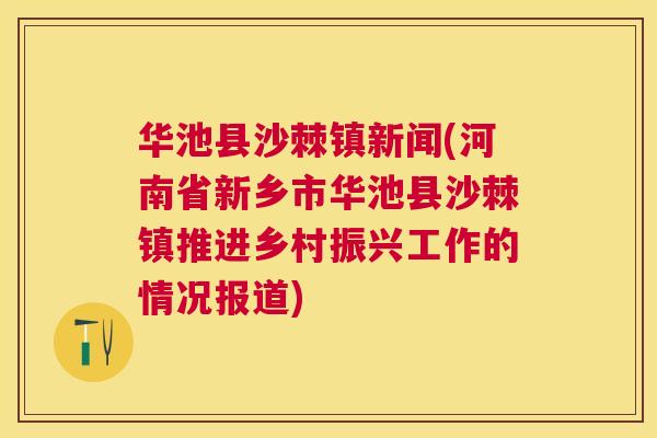 华池县沙棘镇新闻(河南省新乡市华池县沙棘镇推进乡村振兴工作的情况报道)