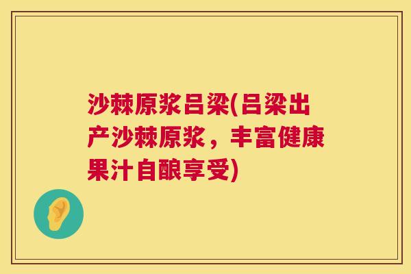 沙棘原浆吕梁(吕梁出产沙棘原浆，丰富健康果汁自酿享受)