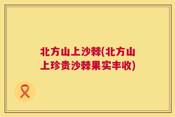 北方山上沙棘(北方山上珍贵沙棘果实丰收)
