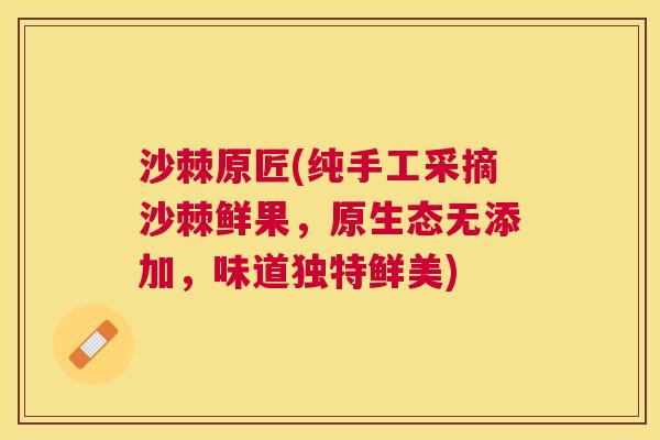 沙棘原匠(纯手工采摘沙棘鲜果，原生态无添加，味道独特鲜美)