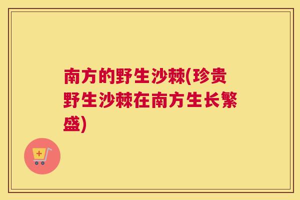 南方的野生沙棘(珍贵野生沙棘在南方生长繁盛)