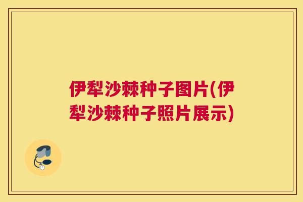 伊犁沙棘种子图片(伊犁沙棘种子照片展示)