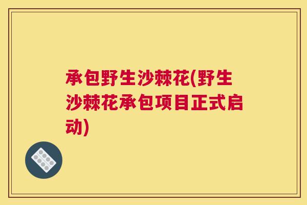 承包野生沙棘花(野生沙棘花承包项目正式启动)