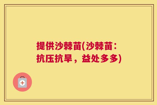 提供沙棘苗(沙棘苗：抗压抗旱，益处多多)