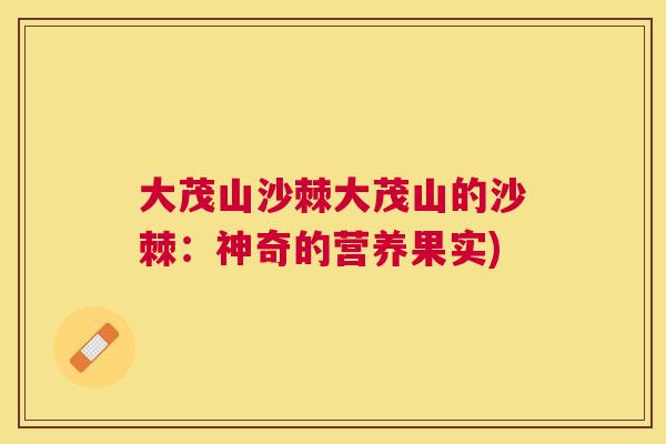 大茂山沙棘大茂山的沙棘：神奇的营养果实)