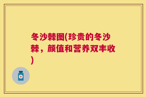 冬沙棘图(珍贵的冬沙棘，颜值和营养双丰收)