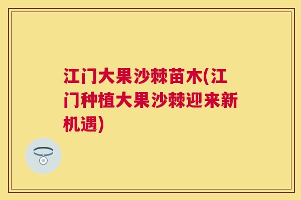 江门大果沙棘苗木(江门种植大果沙棘迎来新机遇)